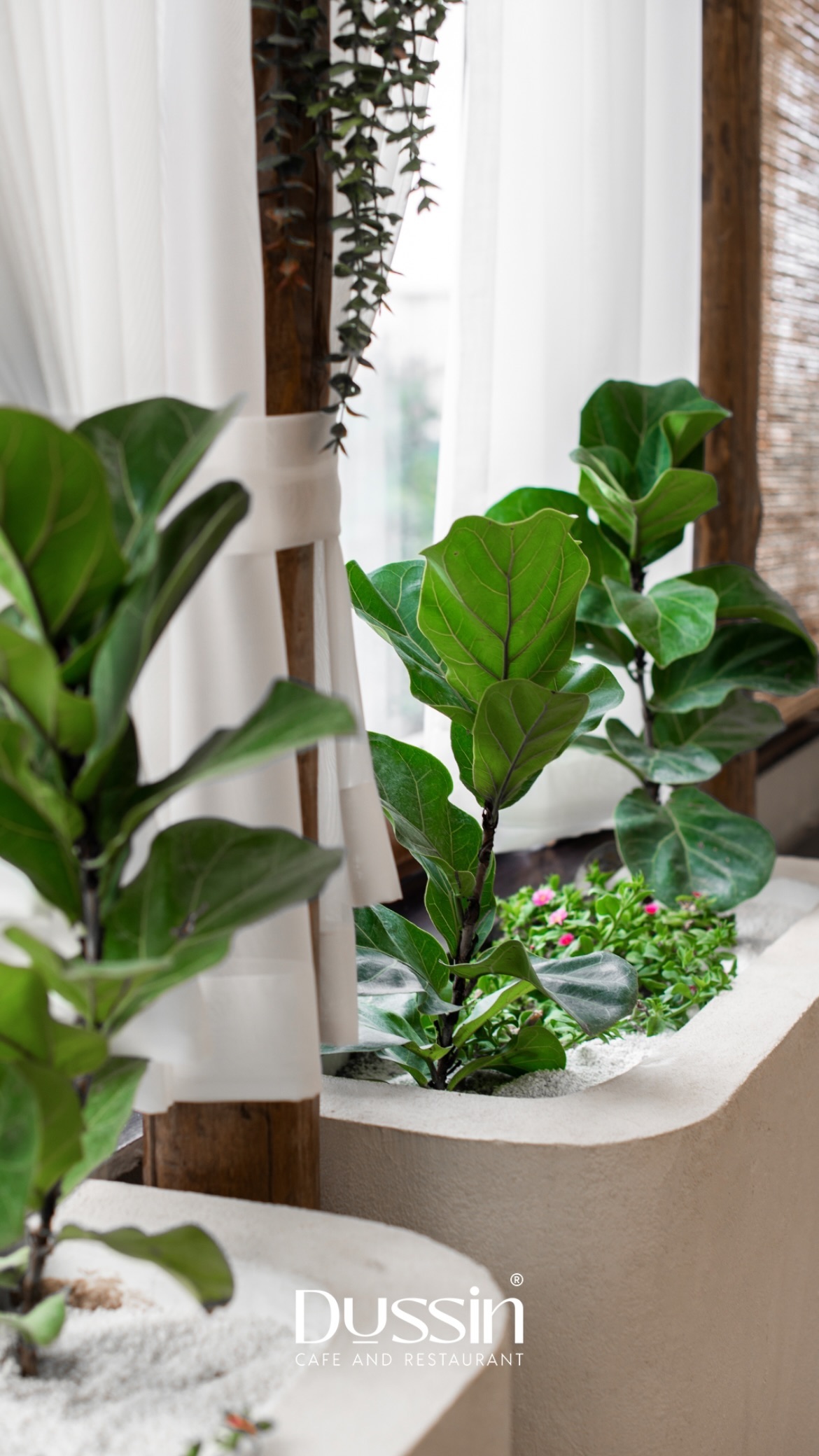 بهترین کافه تبریز